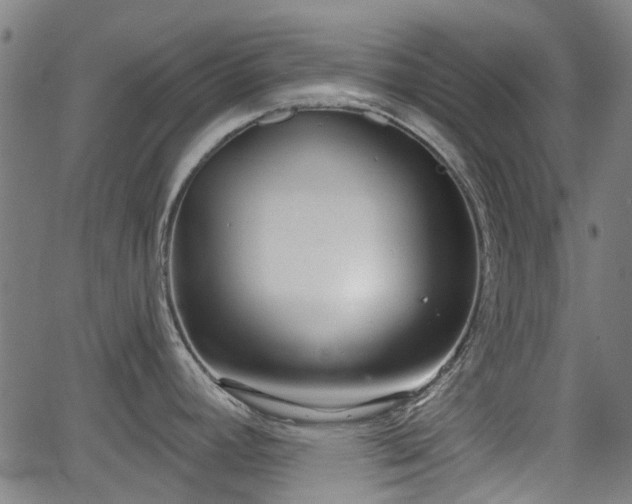 X0000062911392200601181208