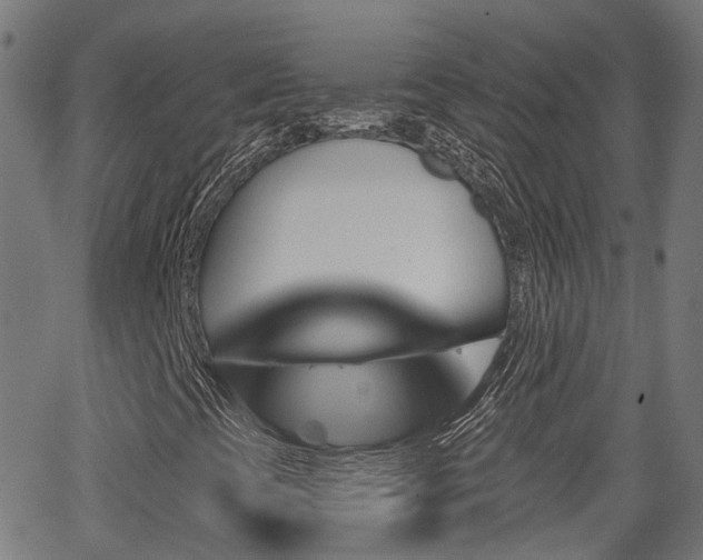 X0000062911393200601181207