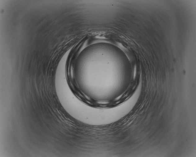 X0000062911394200601181207