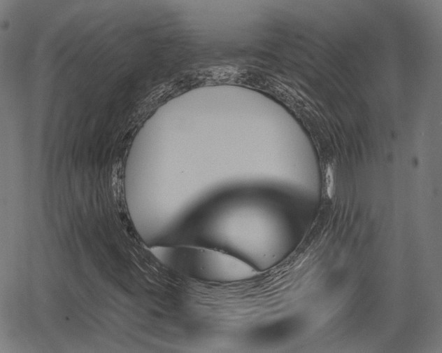 X0000062911395200601181207