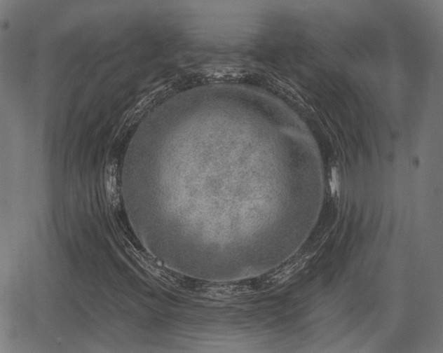 X0000062911396200601181207