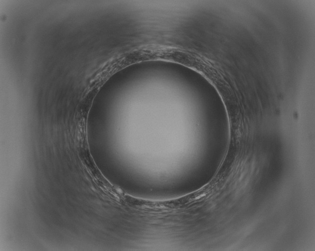 X0000062911397200601181207