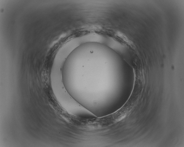 X0000062911398200601181207