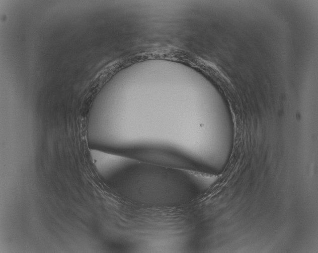 X0000062911399200601181207