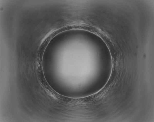 X0000062911400200601181207