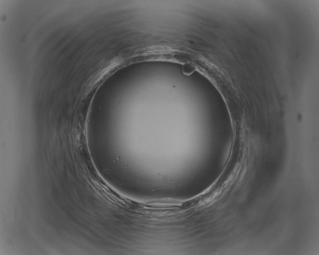 X0000062911401200601181207