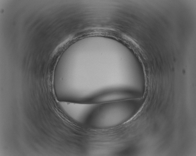 X0000062911403200601181208