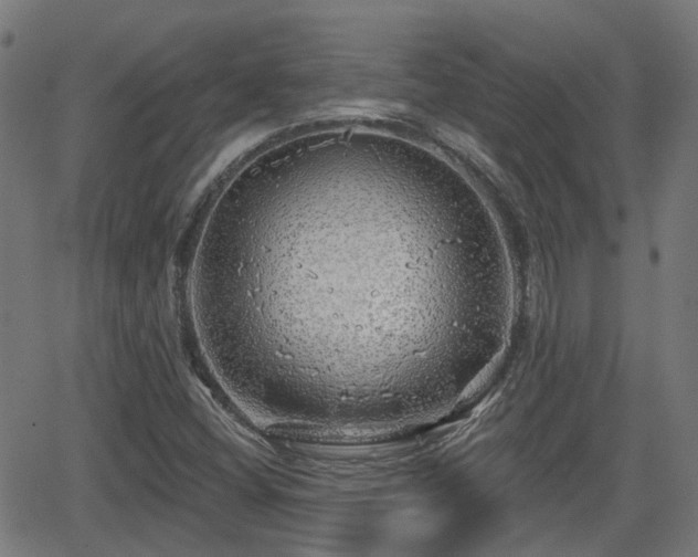 X0000062911404200601181208