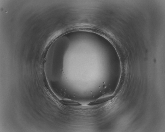 X0000062911405200601181208