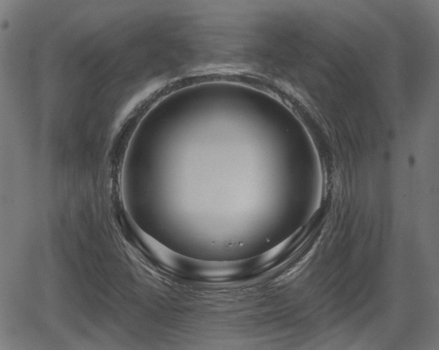 X0000062911406200601181208