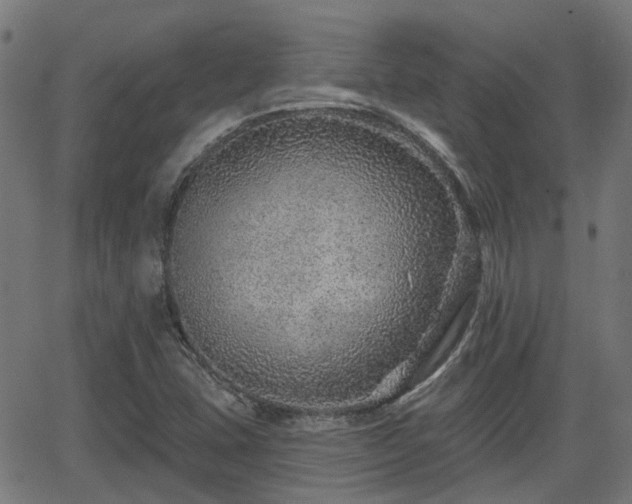 X0000062911407200601181208