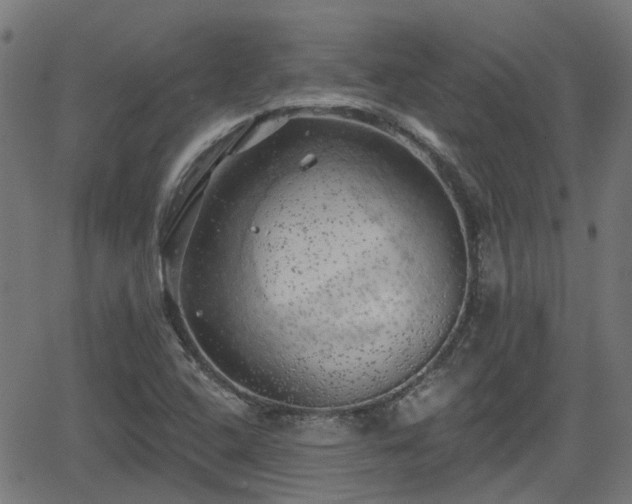 X0000062911408200601181208