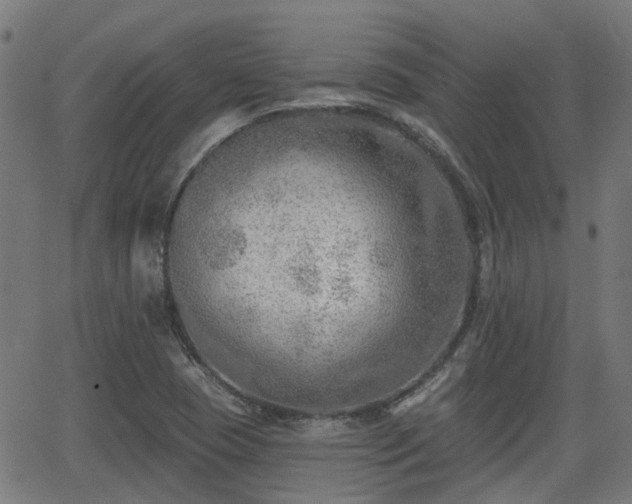 X0000062911409200601181208