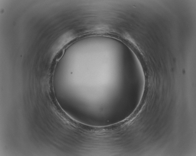 X0000062911410200601181208