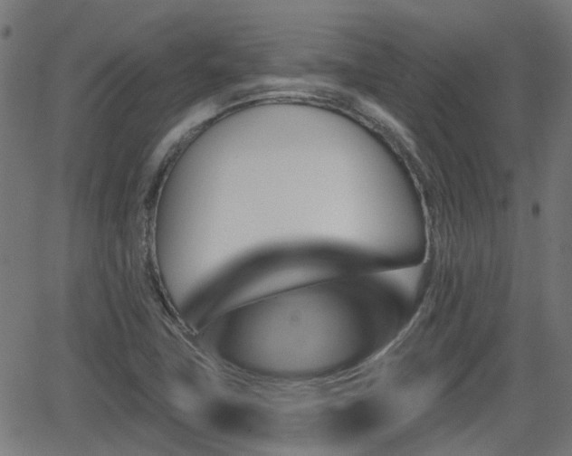 X0000062911411200601181208