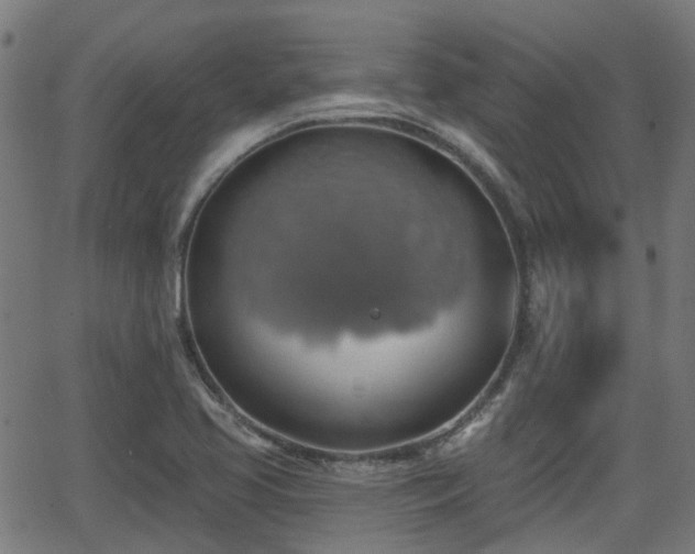 X0000062911413200601181208