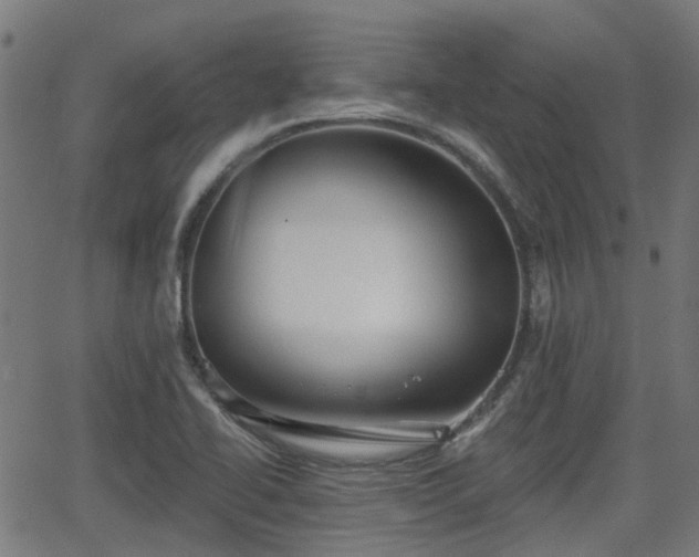 X0000062911414200601181208