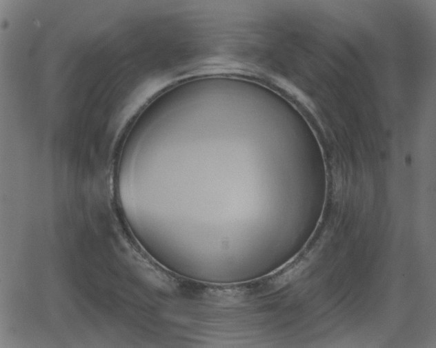 X0000062911415200601181208