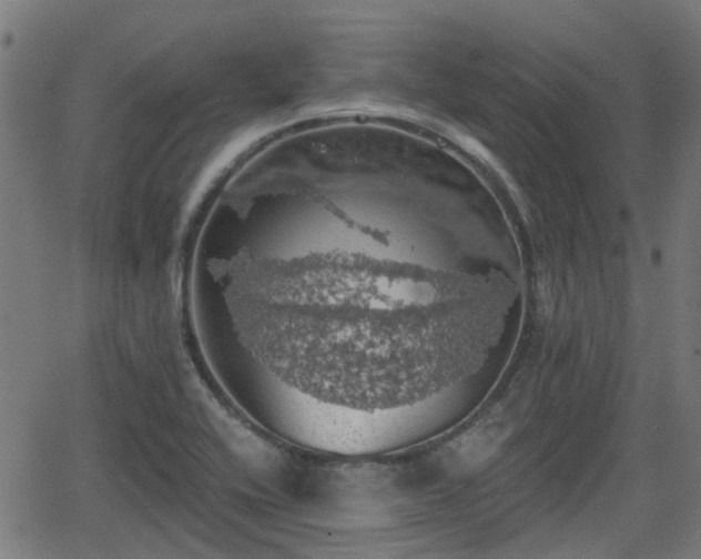 X0000062911416200601181208