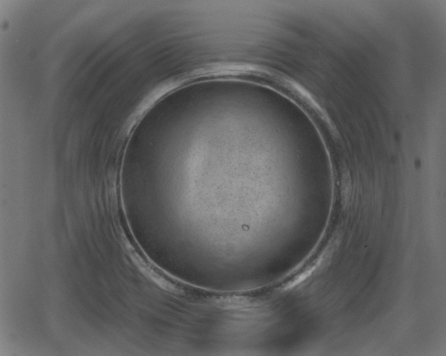 X0000062911417200601181208