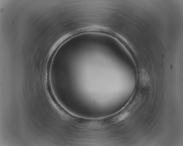 X0000062911418200601181208