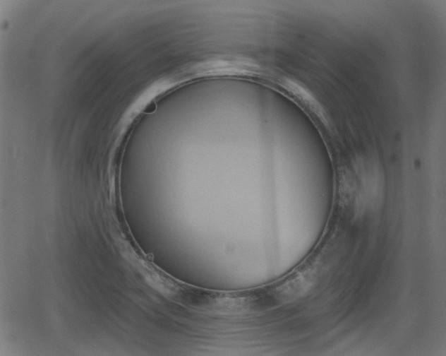 X0000062911419200601181208