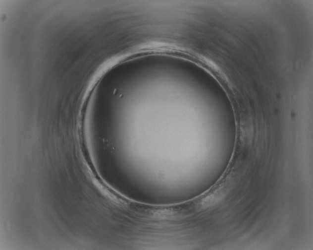 X0000062911421200601181208