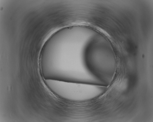 X0000062911423200601181208