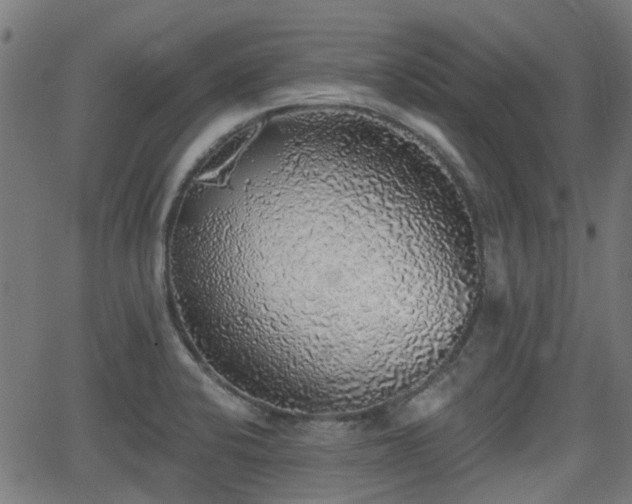 X0000062911424200601181208