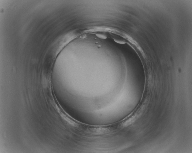 X0000062911425200601181208