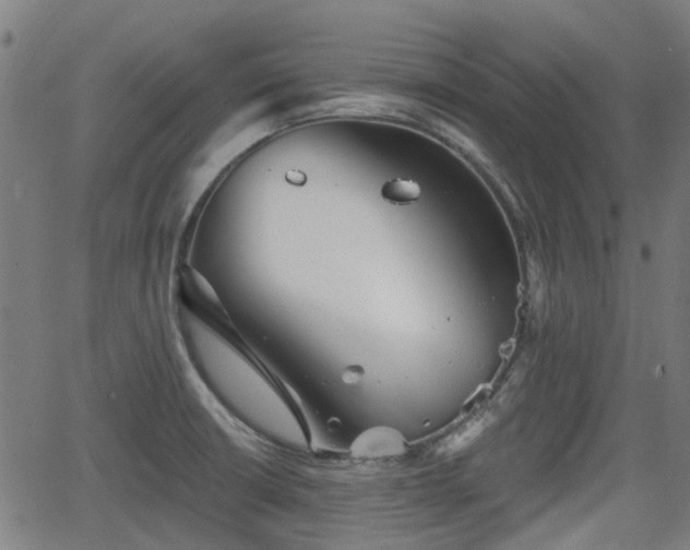 X0000062911426200601181208