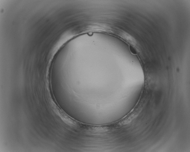 X0000062911427200601181208