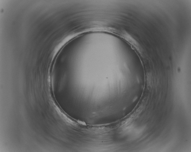 X0000062911428200601181208