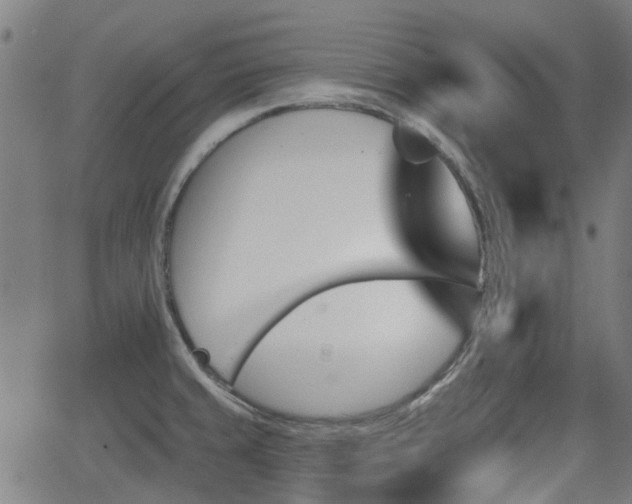 X0000062911429200601181208