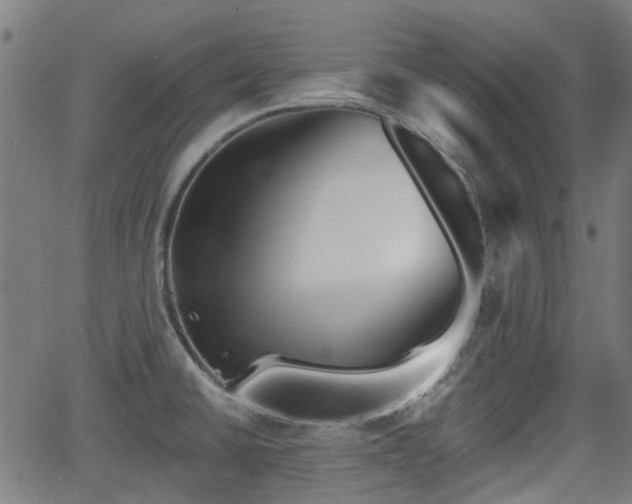 X0000062911430200601181208