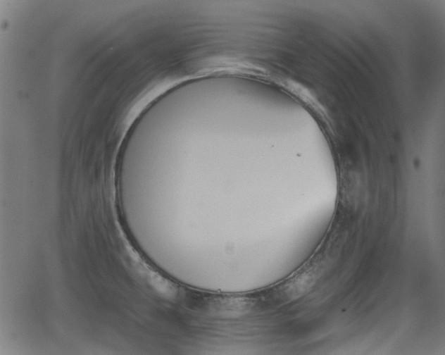 X0000062911431200601181208