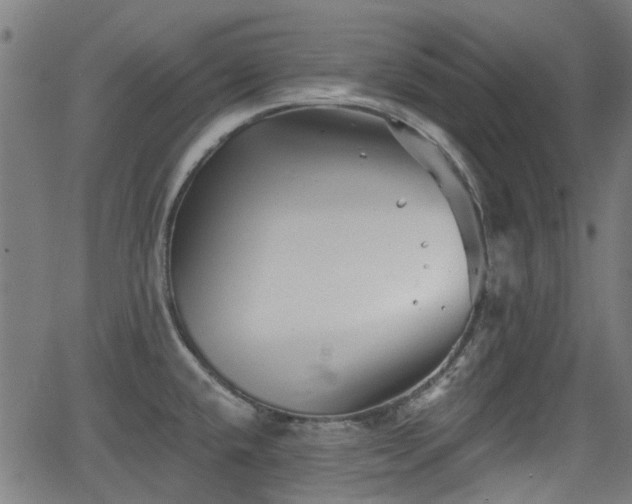 X0000062911432200601181208