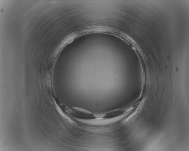 X0000062911433200601181208