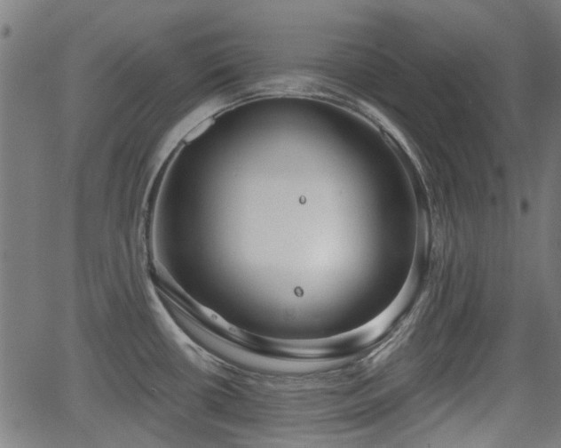 X0000062911434200601181208