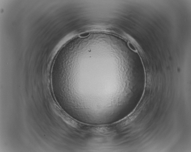 X0000062911435200601181208