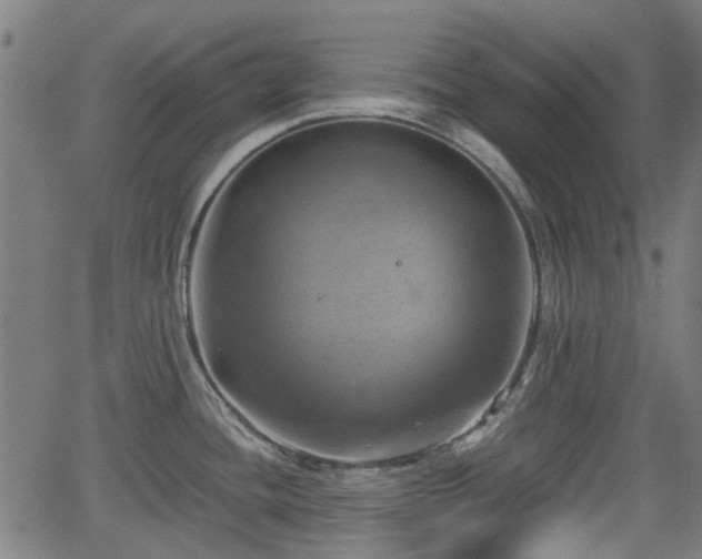 X0000062911436200601181208