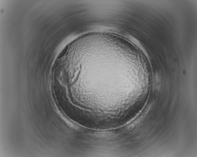 X0000062911437200601181208