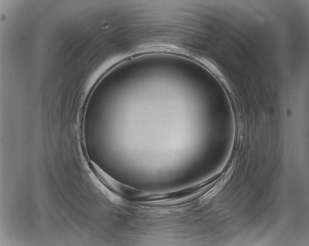 X0000062911438200601181208