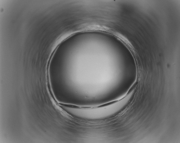 X0000062911439200601181208