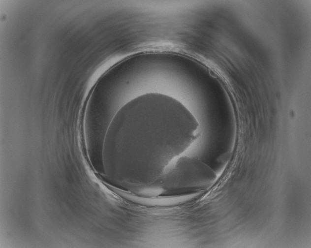 X0000062911440200601181208