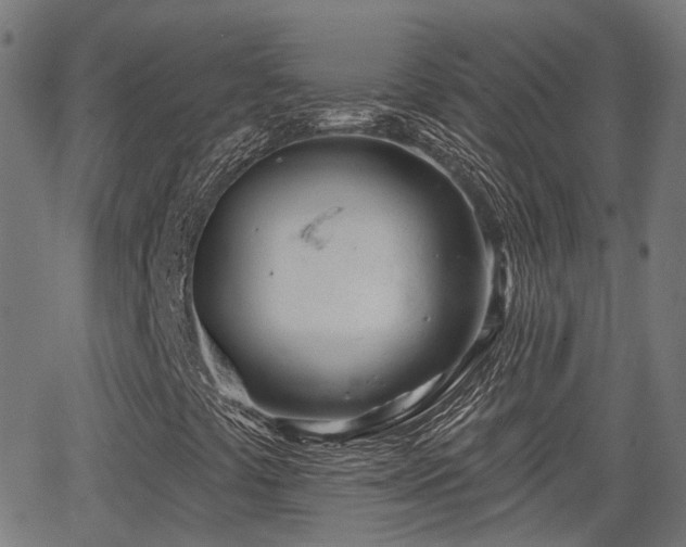 X0000062911441200601181207