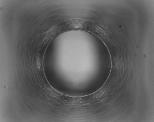 X0000062911442200601181207