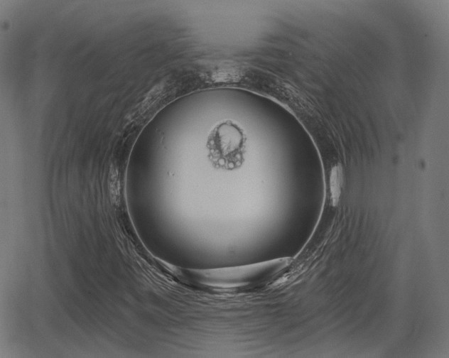 X0000062911443200601181207