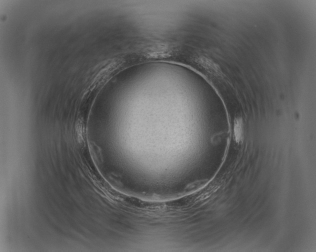 X0000062911444200601181207