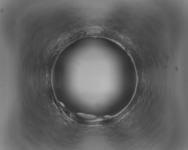 X0000062911445200601181207